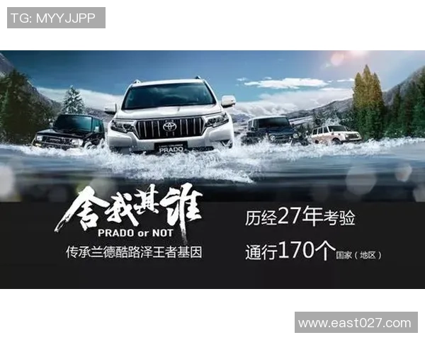 武汉乒乓球队的拼搏之路与洲际杯荣耀背后的故事